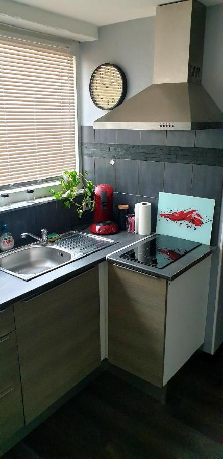 Plaisir Extreme Apartment Roanne Exterior photo